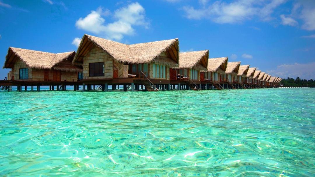 Photo of Others in Lhohifushi