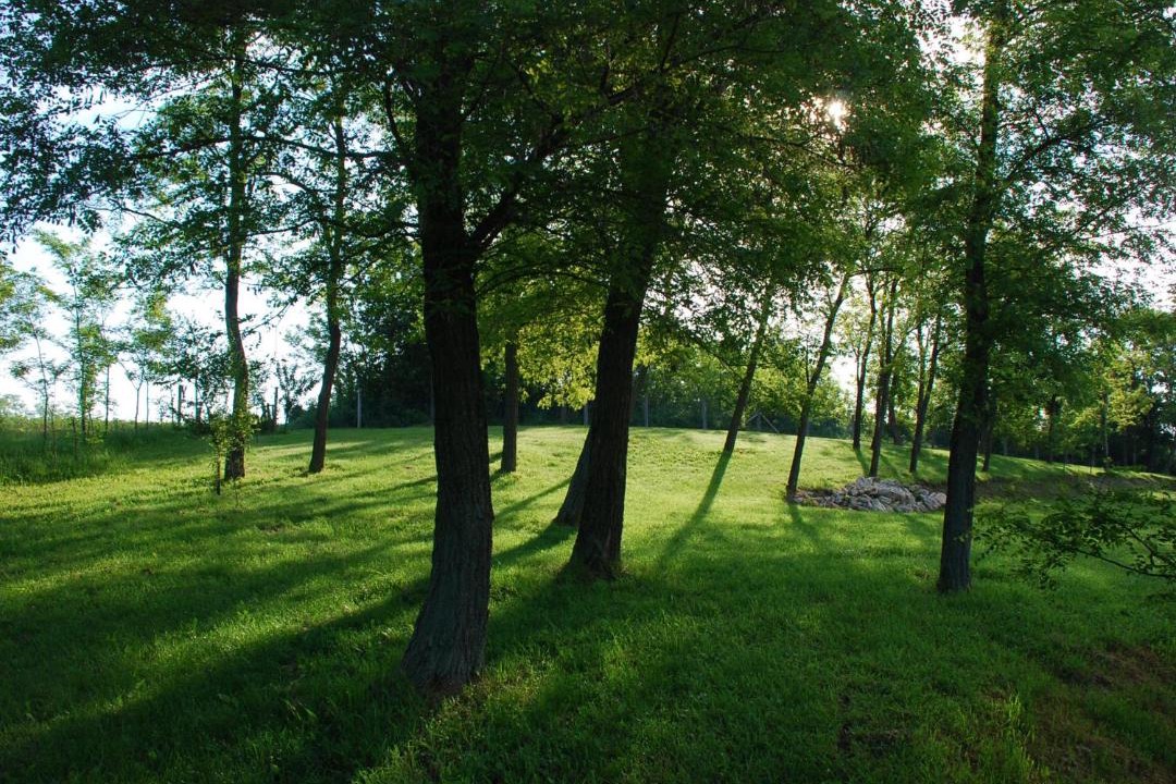 Photo of Outdoor in Sur