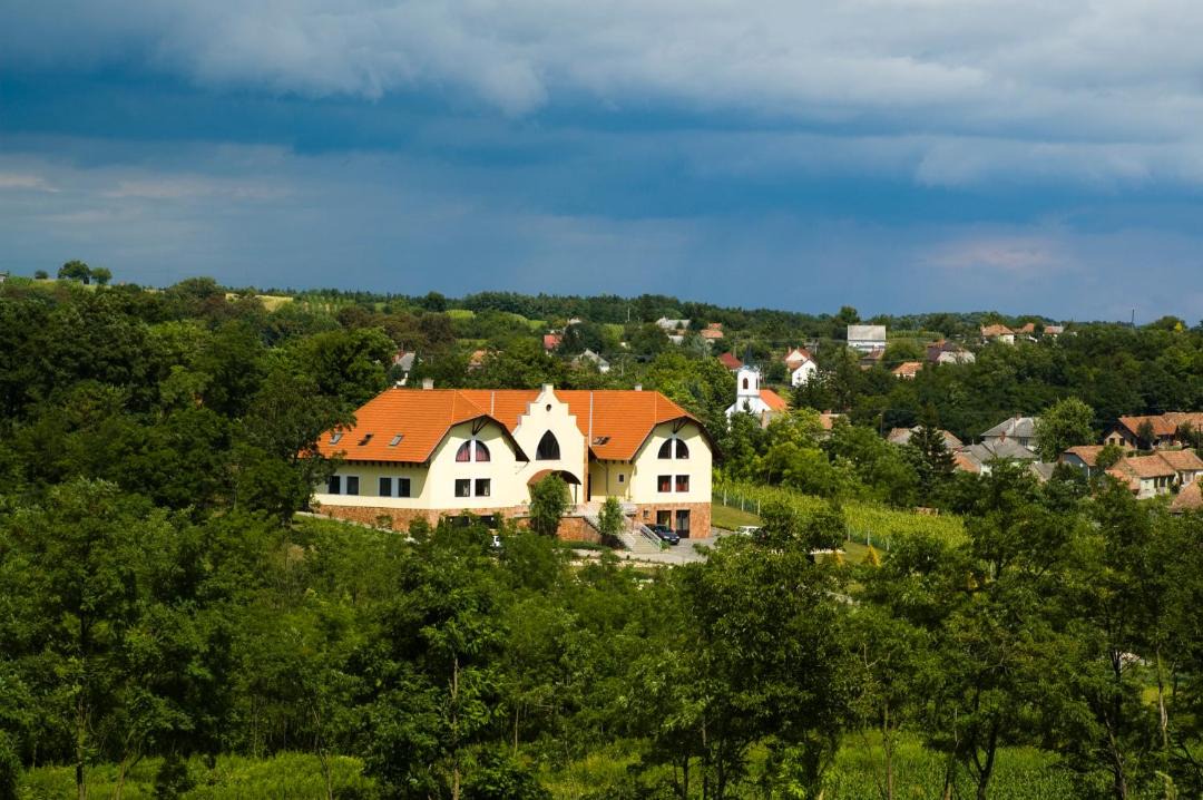 Photo of Buildings in Sur