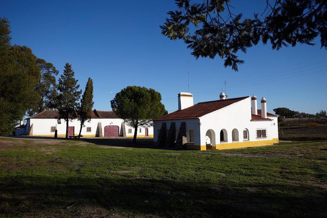 Photo of Buildings in Crato