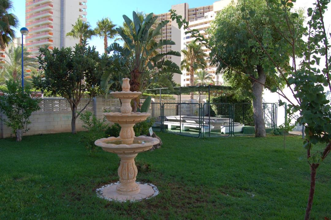 Photo of Others in Benidorm