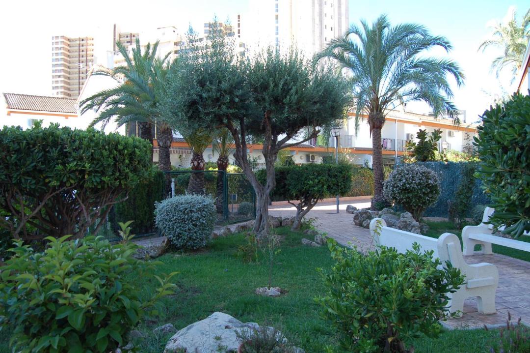 Photo of Others in Benidorm