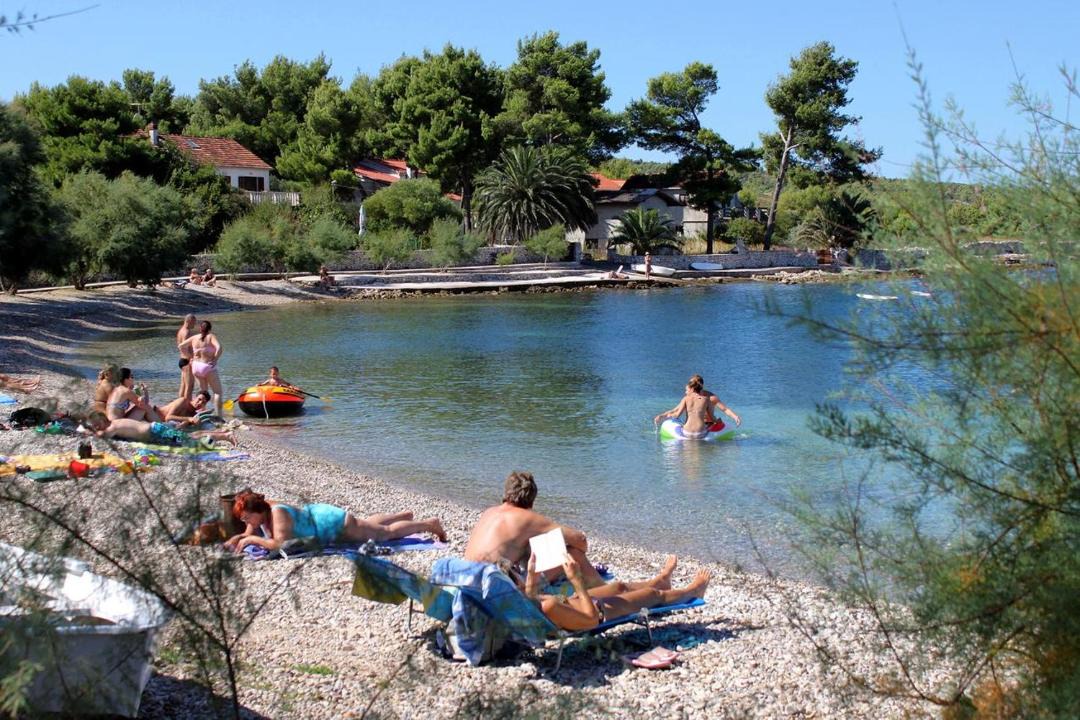 Photo of Others in Mirce