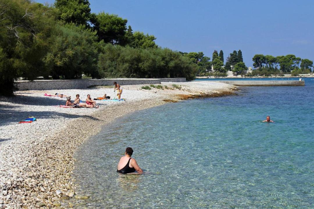 Photo of Others in Mirce