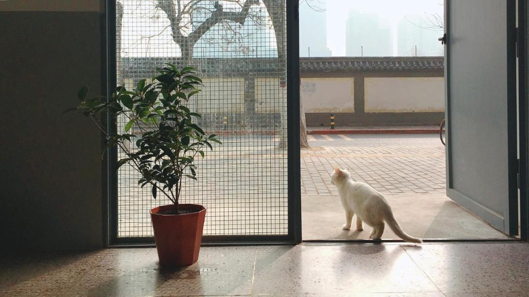 Photo of Others in Xincheng