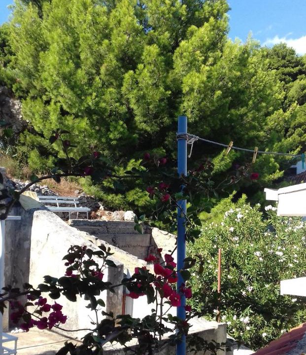 Photo of Others in Podgora