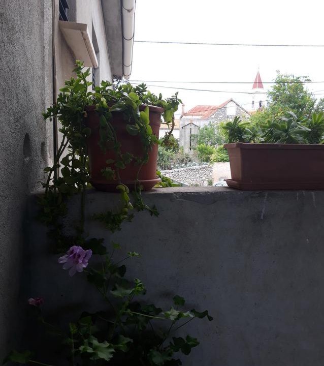 Photo of Others in Mirce