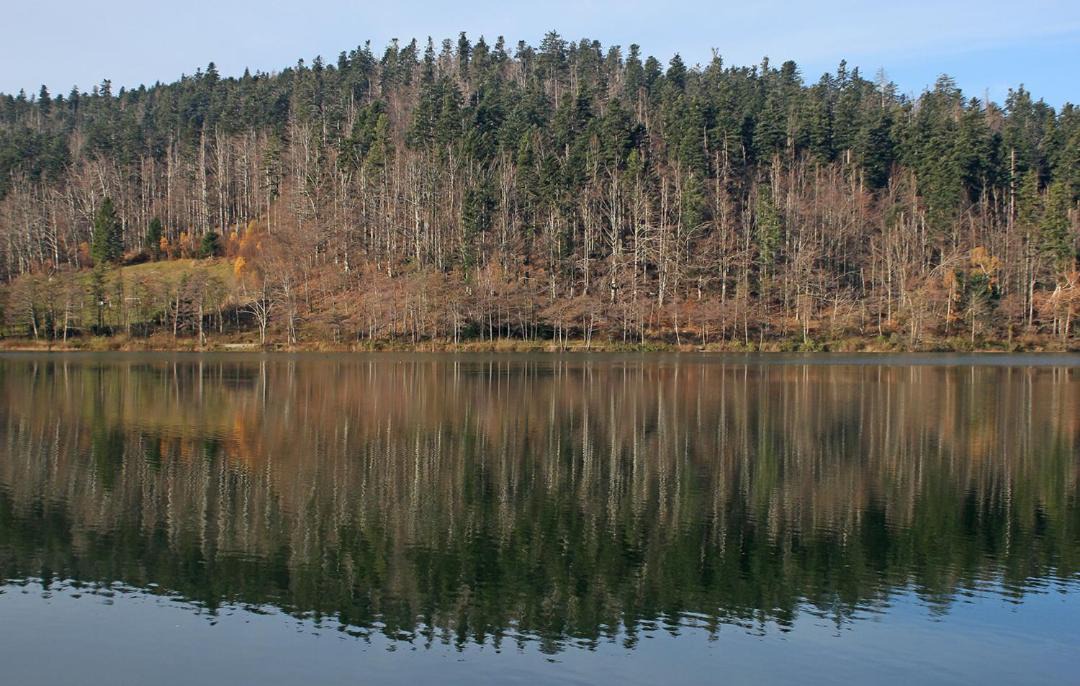 Photo of Outdoor in Lokve