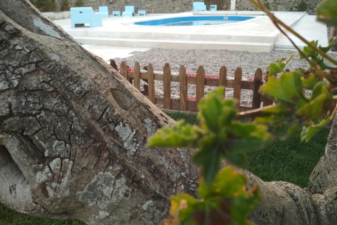 Photo of Others in Alcanede
