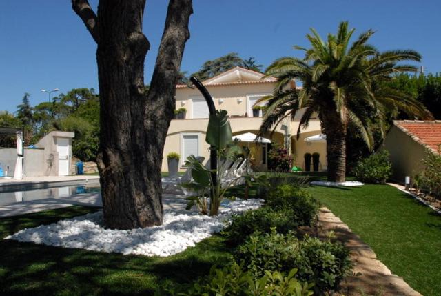 Photo of Others in Sainte-Maxime City Centre