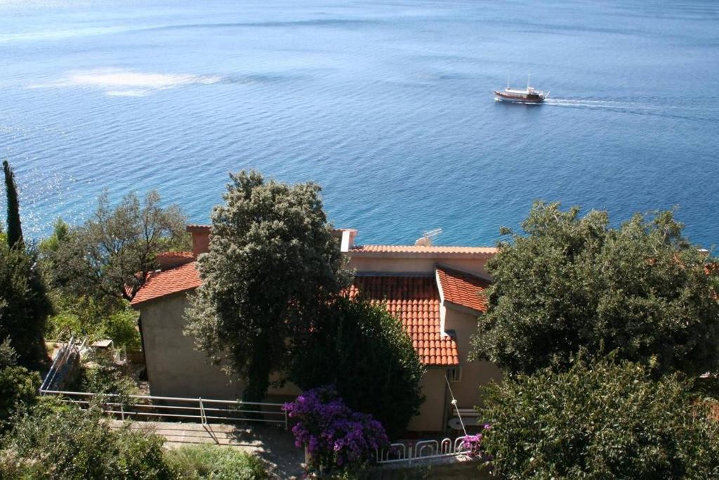 Photo of Others in Stanici
