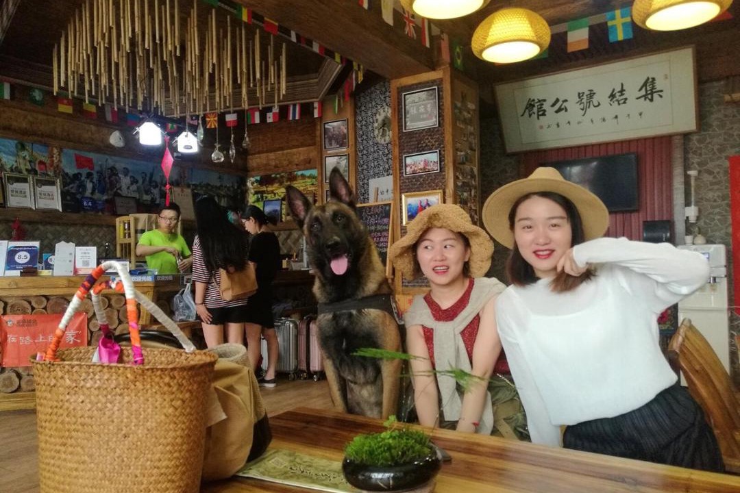 Photo of Others in Wulingyuan