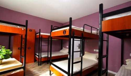 Bed in 8-bed Female Dormitory Room