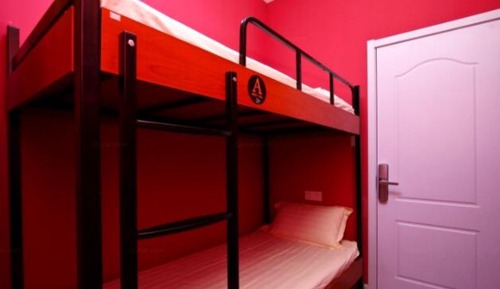 Bed in 2-bed Female Dormitory Room