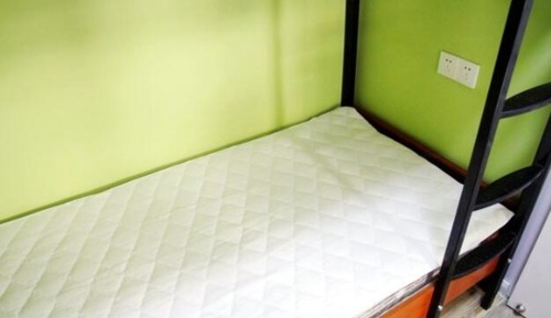 Bed in 2-bed Male Dormitory Room