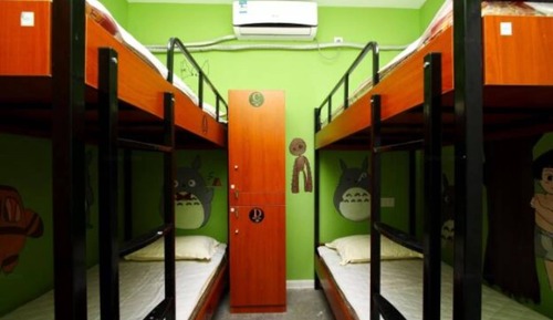 Bed in 4-bed Male Dormitory Room