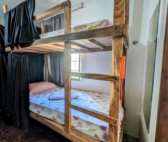 Bed in 10-Bed Mixed Dormitory Room