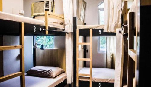 Bunk Bed in Mixed Dormitory Room