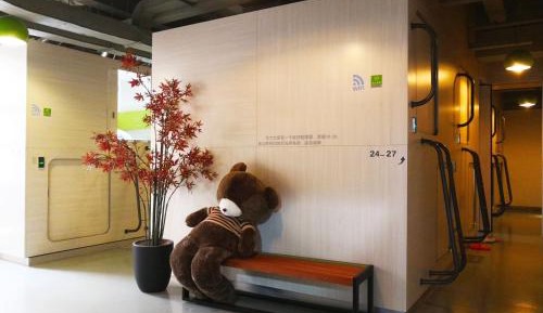 Single Bed in Female Dormitory Room