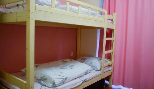 Bunk Bed in Mixed Dormitory Room