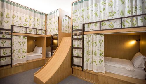 Bed in 6-Bed Mixed Dormitory Room