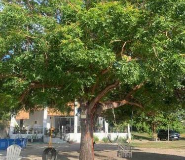 Lian Apartment | Clipper View Beachfront Calatagan cel